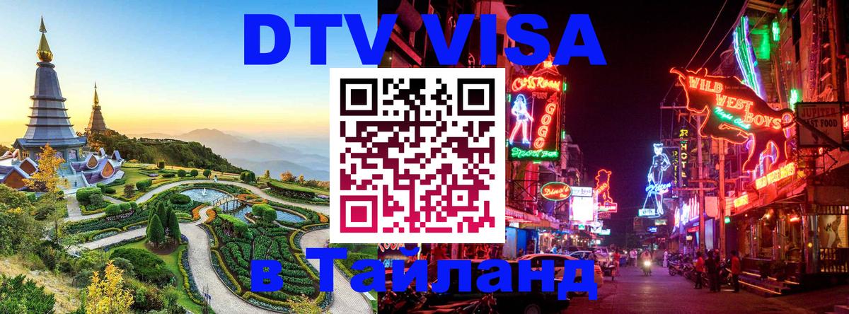 Сколько стоит DTV виза — актуальные цены, оформление даже без документов - Новокузнецк  20.11.2025 